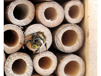 PEARL Insektenhotel Bastelset: 4er-Set Insektenhotel-Bausätze, Nisthilfe und Schutz für Nützlinge (Insektenhotel Insektenhaus)