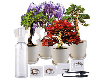 Royal Gardineer Bonsai Set: Bonsai-Anzuchtset, 4 Arten, Töpfe, Untersetzer, Clipper, Sprühflasche (Bonsais)